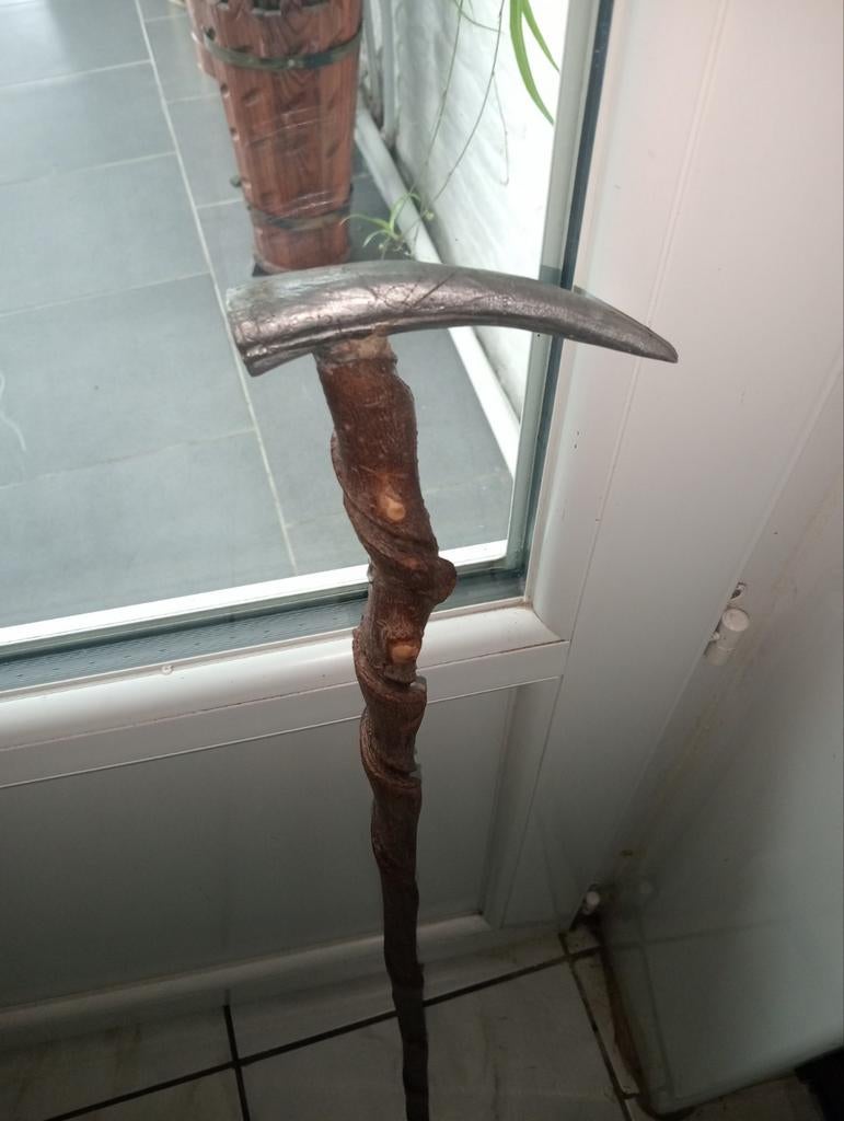 Canne, Ophalen of Verzenden