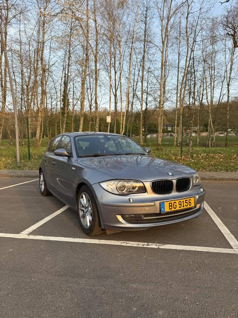 BMW 116i, Auto's, 122 kW, 139 g/km, 1599 cc, 1290 kg