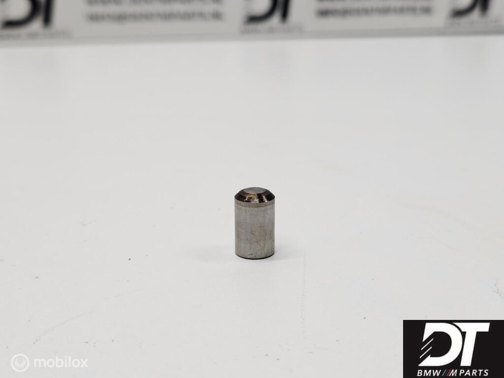 Vanos olie pomp zuiger BMW S54 S62 S50B32, Auto-onderdelen, Motor en Toebehoren, Gebruikt, Ophalen of Verzenden