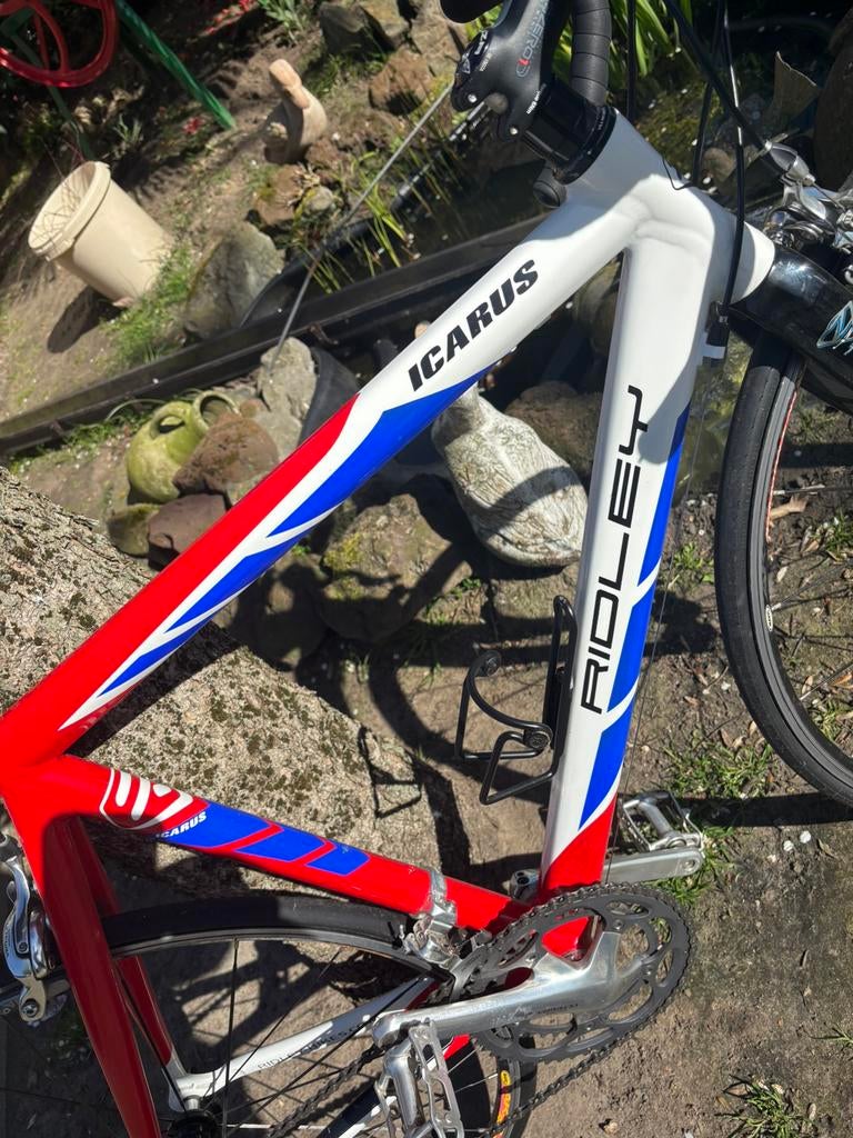 Ridley maat 2 52, Ophalen, Zo goed als nieuw, Carbon