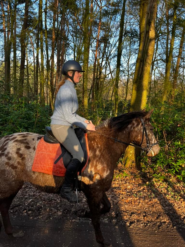 Mooie appaloosa merrie 3j, Vermifugé, Débourré, Moins de 160 cm, Cheval de récréation