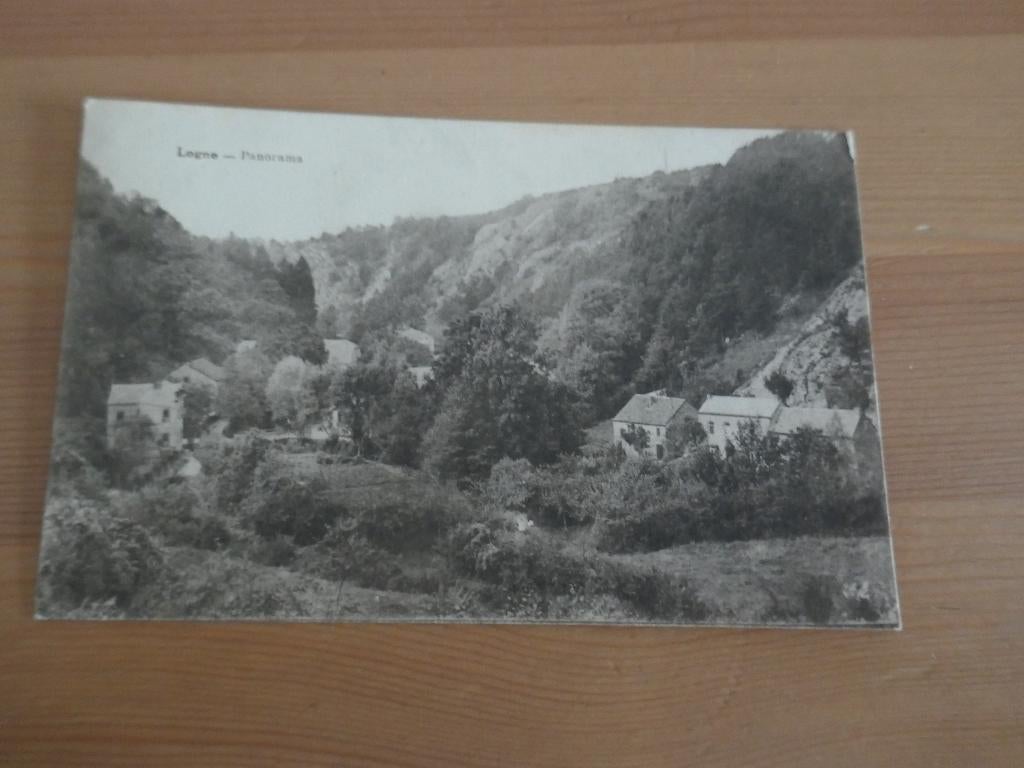 Panorama de Ferrières Logne, Enlèvement ou Envoi, Affranchie, Liège