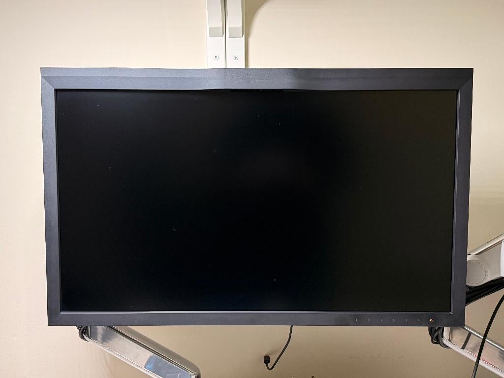 Eizo CG279X monitor scherm, Computers en Software, Monitoren, Ophalen, IPS, Eizo, Quad HD (2K)