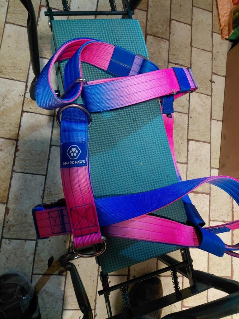 Honden harnas, Enlèvement