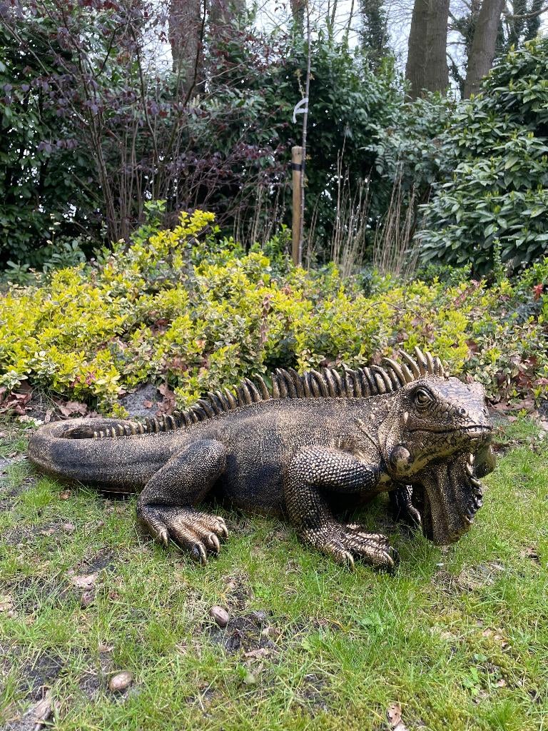 Iguane, bronze, jardin, piscine, étang, salamandre 100 cm, Enlèvement, Neuf, Synthétique, Animal