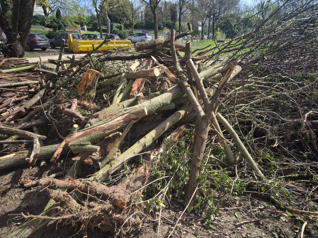 Snoeihout voor brandhout, 6 m³ of meer, Ophalen, Takken