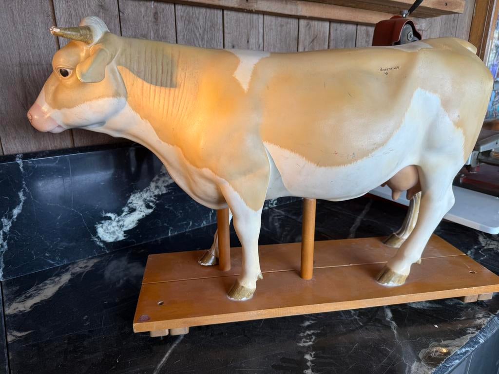 Vache anatomique supérieure, Antiquités & Art, Enlèvement