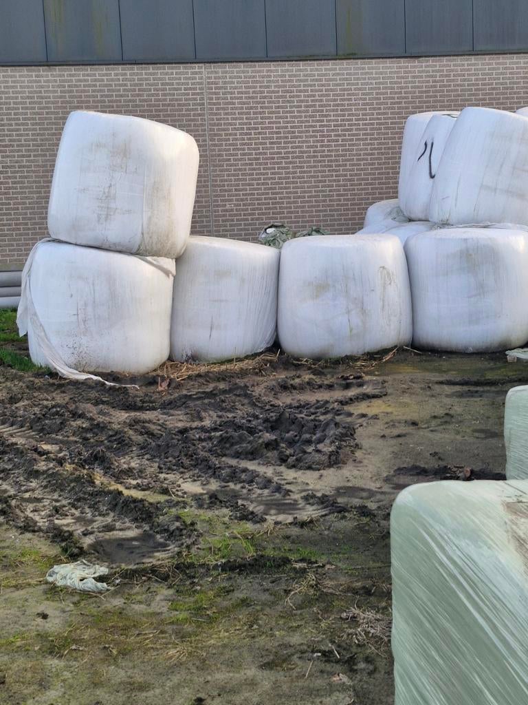 Mais balen, Ophalen of Verzenden