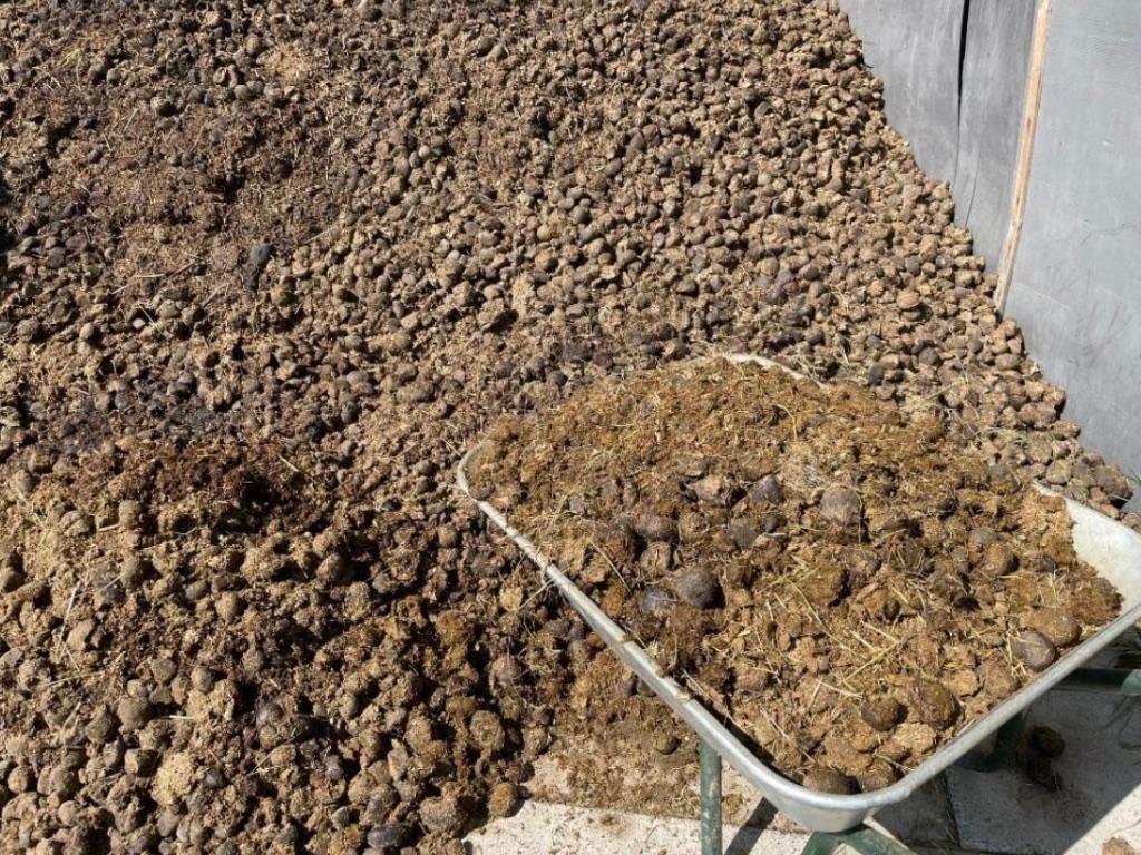 Gratis zuivere paardenmest - vlot bereikbaar met aanhanger, Tuin en Terras, Aarde en Mest, Ophalen, Mest