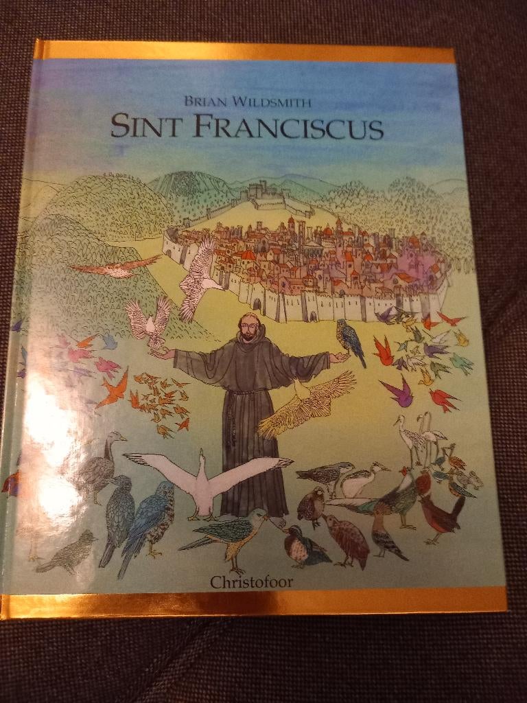 Sint Franciscus, Boeken, Godsdienst en Theologie, Ophalen, Zo goed als nieuw, Christendom | Katholiek