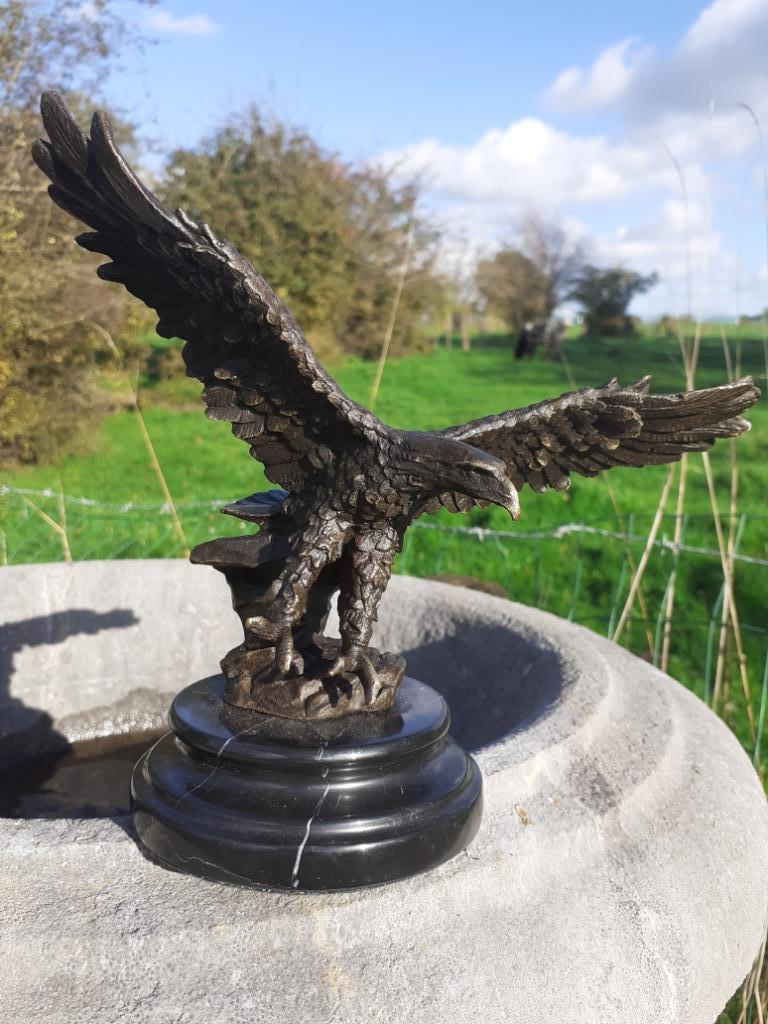 Schitterend gesigneerd bronzen dier (landing met een adelaar, Antiek en Kunst, Ophalen of Verzenden, Brons