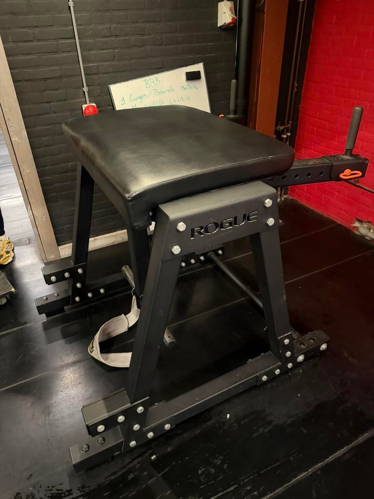 Rogue reverse hyper, Ophalen, Gebruikt, Rug, Overige typen