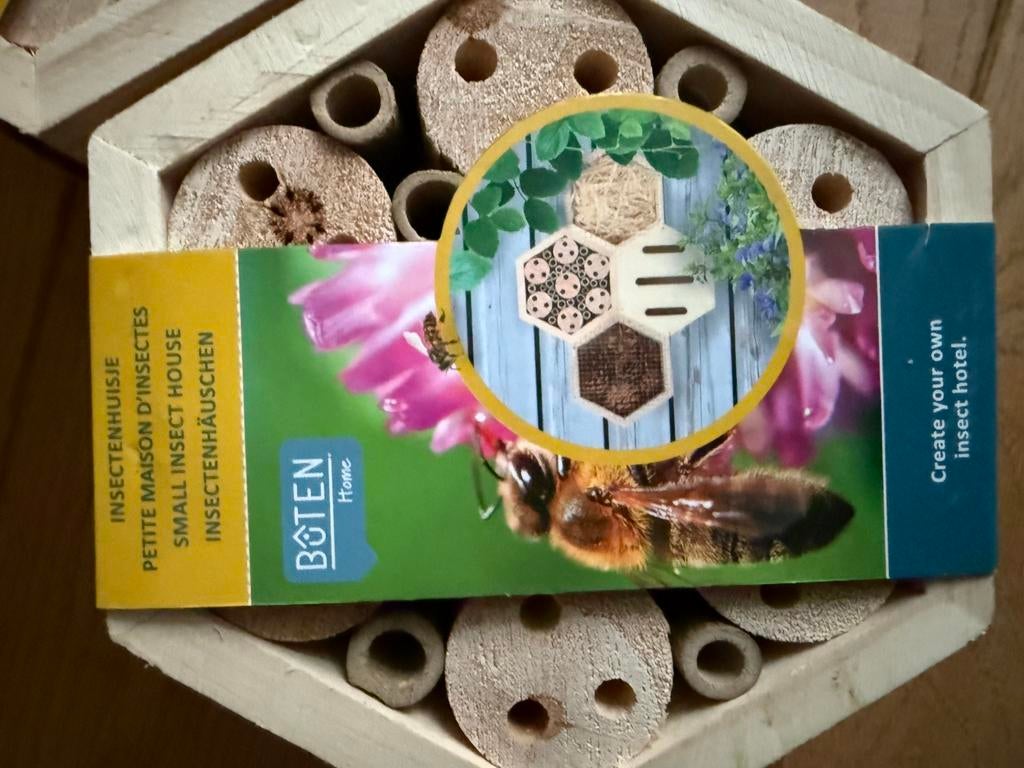 Bûten Home Boîte à insectes Hexagon Bees, Animaux & Accessoires, Enlèvement, Neuf