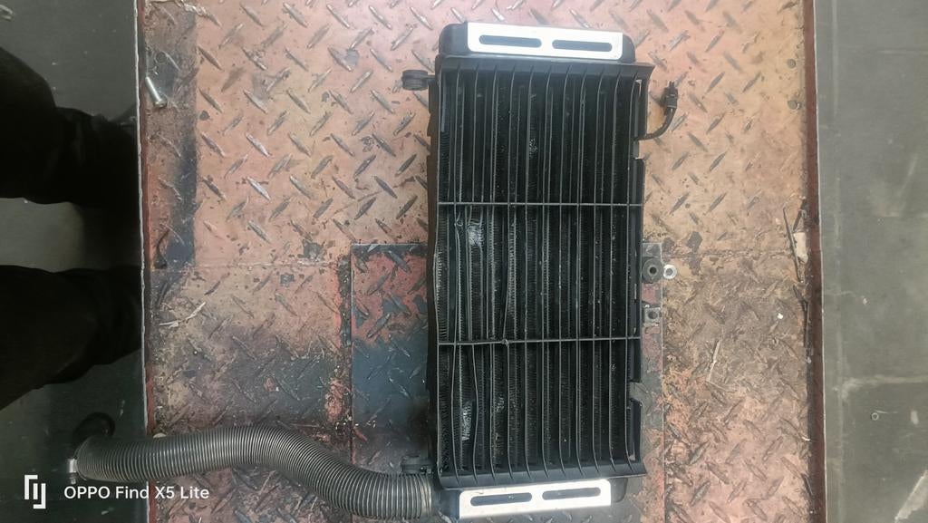Honda cb600 Hornet radiator, Motoren, Onderdelen | Honda, Ophalen of Verzenden