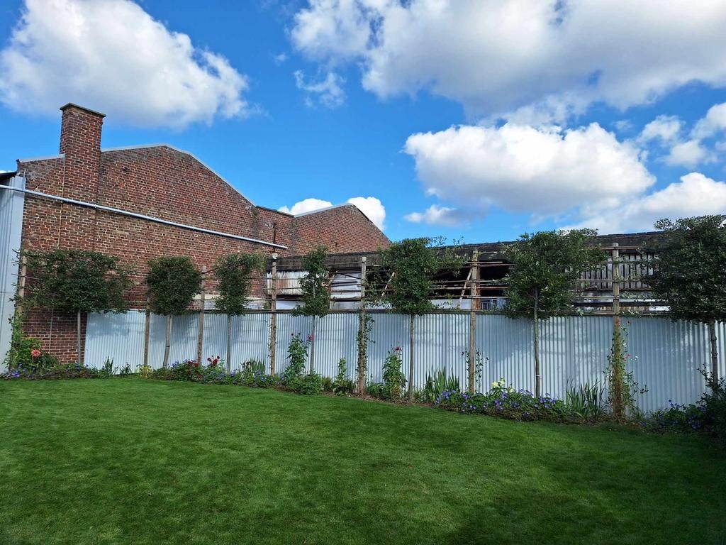 Tuin onderhoud tuin aanleg, Diensten en Vakmensen, Aannemers