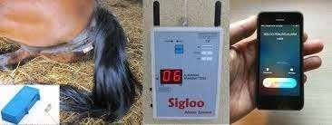 Te huur per dag - Sigloo Birth alarm / geboortemelder, Dieren en Toebehoren, Meerdere dieren