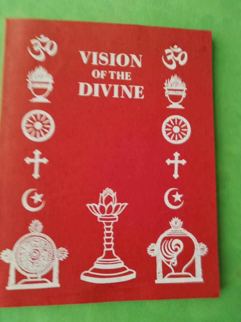 Vision of the Divine, Understanding  Spiritual Teachings Sai, Boeken, Ophalen of Verzenden, Zo goed als nieuw, Eruch B. Fanibunda