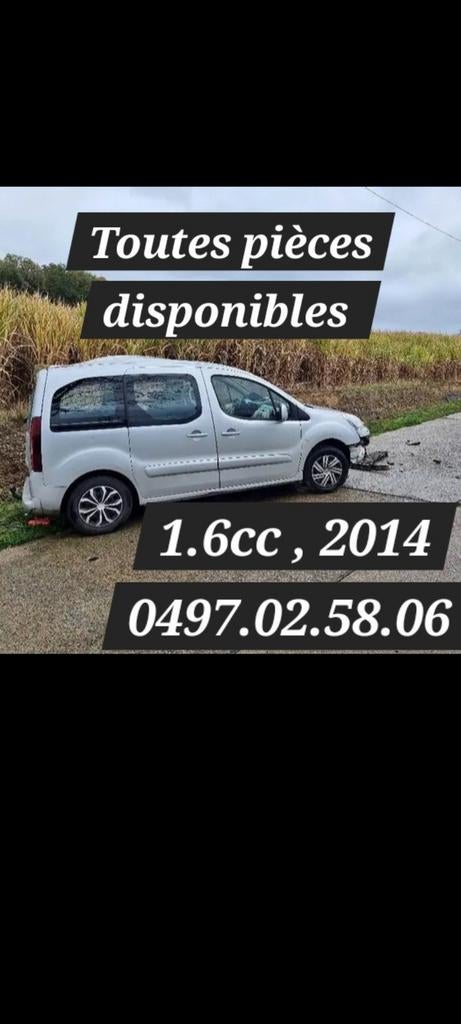 Toutes pièces disponibles pour Citroën berlingo 1.6 essences, Enlèvement ou Envoi, Renault