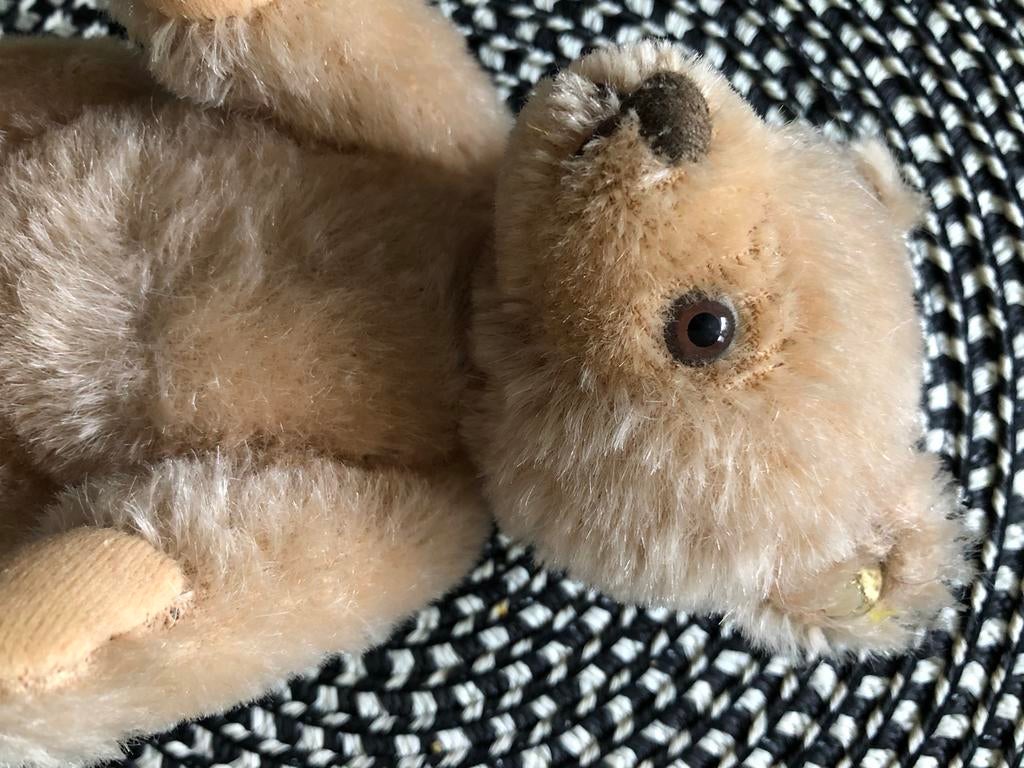Ours en peluche Steiff, Collections, Enlèvement ou Envoi, Comme neuf, Ours en tissus, Steiff