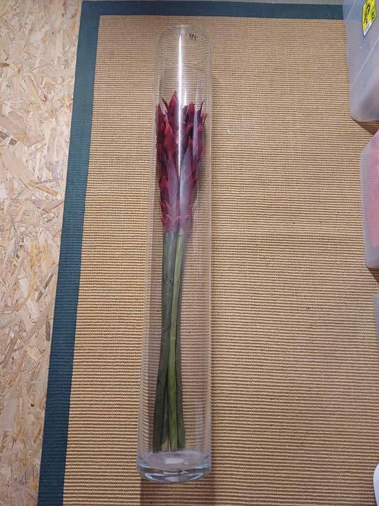 Vaas met 4 droogbloemen, Ophalen, Gebruikt