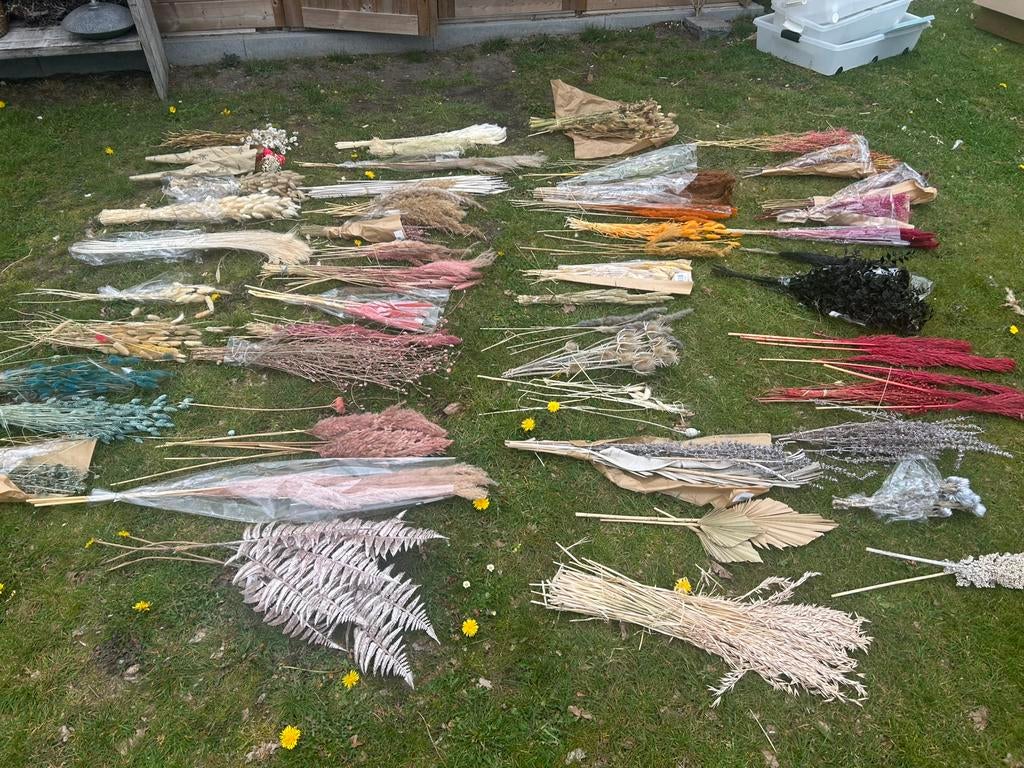 Groot lot droogbloemen, Huis en Inrichting, Woonaccessoires | Droogbloemen, Ophalen, Nieuw