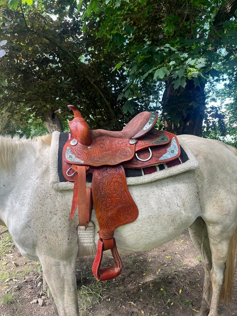 Westernzadel 16”, Animaux & Accessoires, Enlèvement, Comme neuf, Western