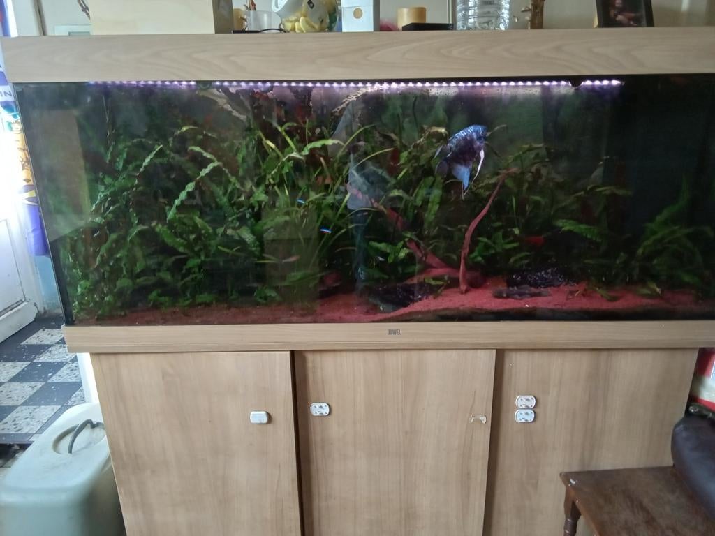 Vend aquarium 450litre complet pompe chauffage poisson  p