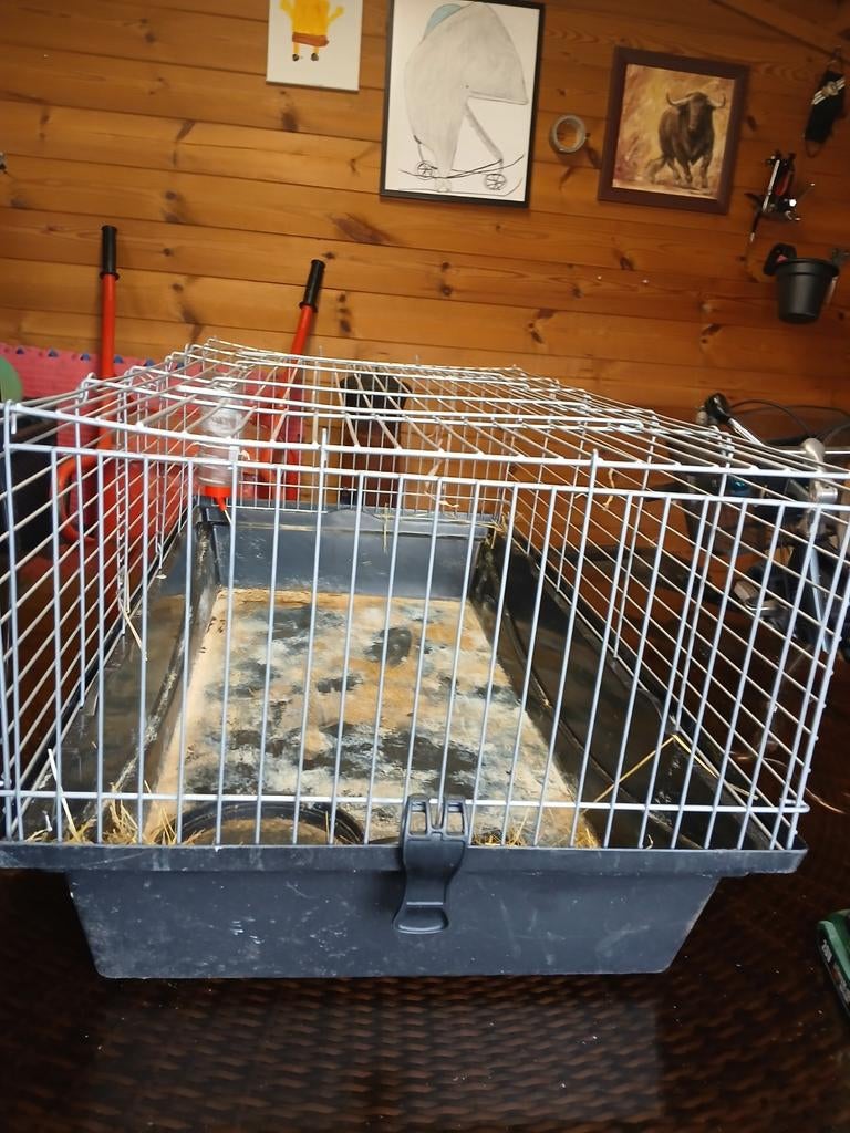 ! ! Grande cage !, Enlèvement, Comme neuf, 75 à 110 cm, Moins de 65 cm