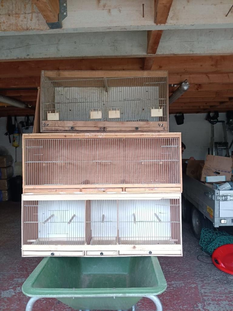 Cages à canaris, Enlèvement, Utilisé