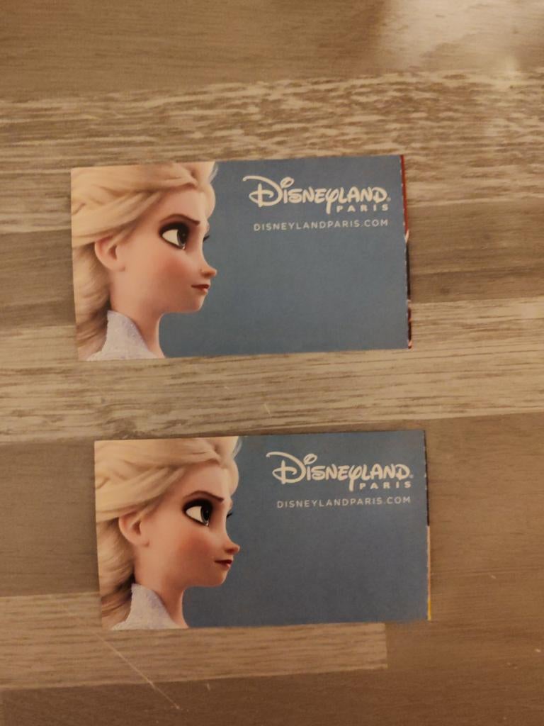 2 places Disney 1 jour 2 parcs, Tickets en Kaartjes, Recreatie | Pretparken en Attractieparken