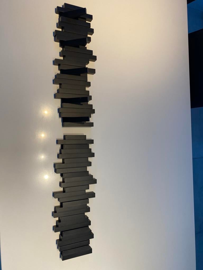 Moderne kapstokken 2 stuks (zwart), Huis en Inrichting, Woonaccessoires | Kapstokken, Ophalen, Zo goed als nieuw, Kunststof