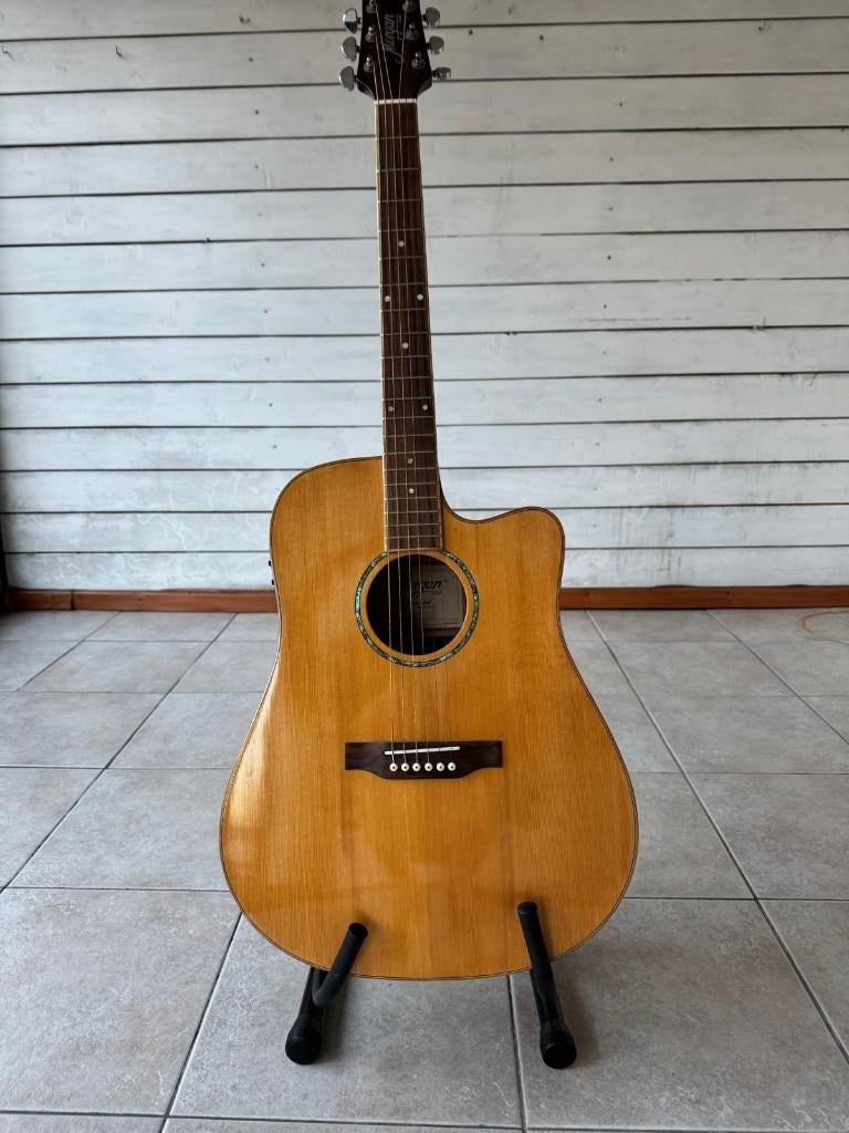 Guitare électro-acoustique Morgan, Enlèvement, Comme neuf