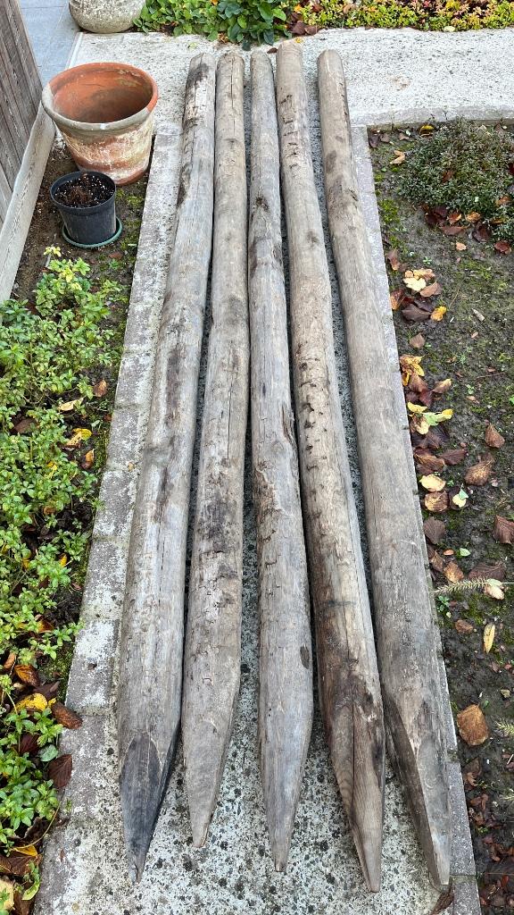 tuinpalen kastagne, Ophalen, Zo goed als nieuw, 250 cm of meer, Palen