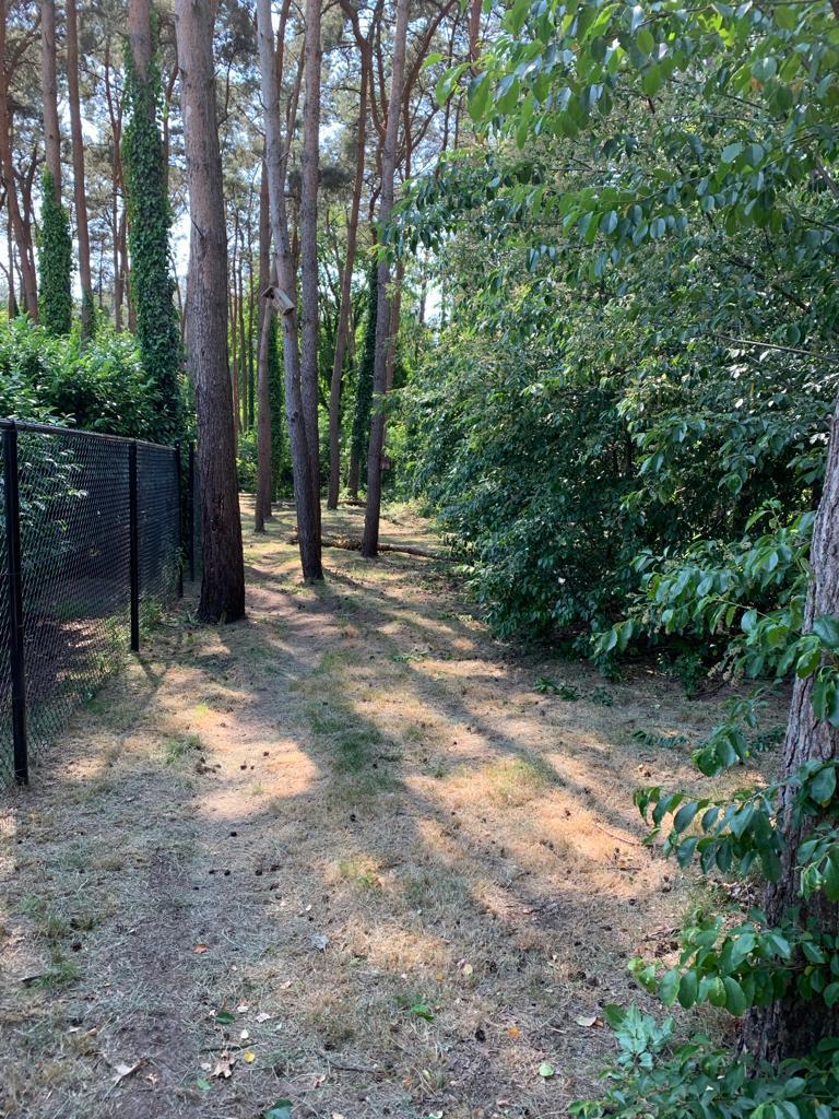 Huislijke hondenopvang bij hondenhotel Dierenbos, Particuliere oppas