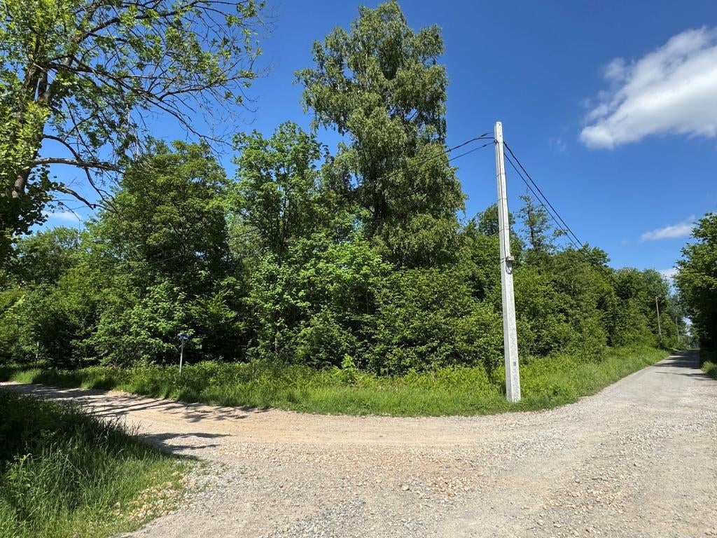 terrain bois, Immo, Province Namur, 1500 m² ou plus