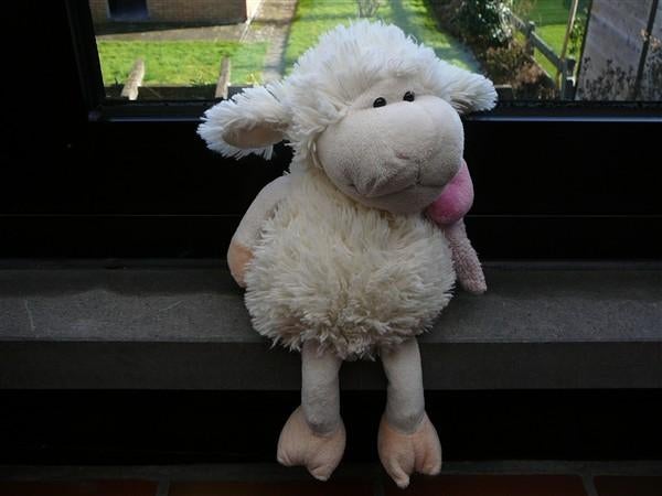 Mooie knuffel zacht schaap, Kinderen en Baby's, Speelgoed | Knuffels en Pluche, Ophalen of Verzenden, Zo goed als nieuw, Overige typen