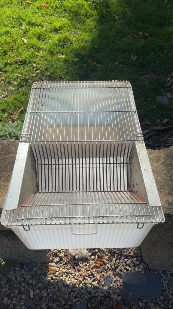 Cage elevage rongeur, Enlèvement ou Envoi, Comme neuf, Cage, Rat