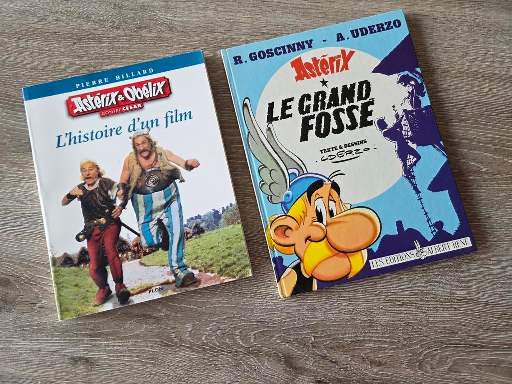 Livres d'Astérix & Obélix, Livres, Enlèvement ou Envoi