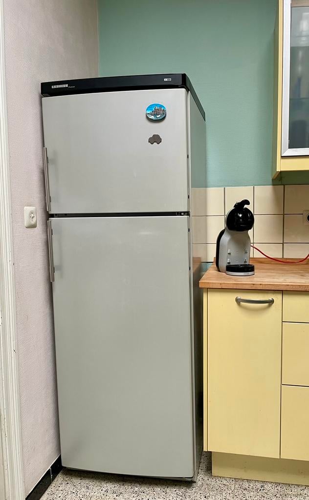 Liebherr Premium koelkast, Electroménager, Enlèvement, Utilisé, 45 à 60 cm, 160 cm ou plus