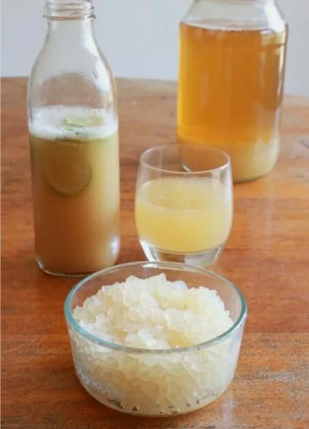 Verse waterkefirkorrels, Diversen, Levensmiddelen, Ophalen