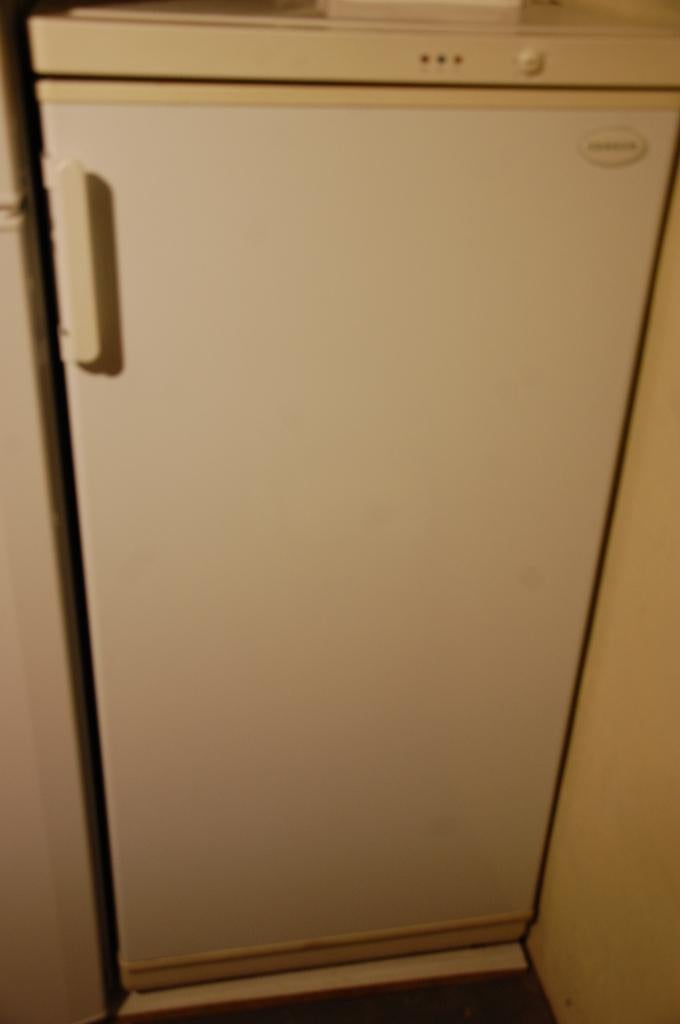 Diepvriezer (kastmodel), Elektronische apparatuur, Vriezers en Diepvrieskisten, Gebruikt, 140 tot 160 cm, Ophalen, Vrieskast