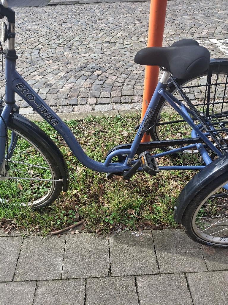 Fiets voor van alles, Fietsen en Brommers, Fietsen | Driewielfietsen, Ophalen of Verzenden, Zo goed als nieuw, Eco trike