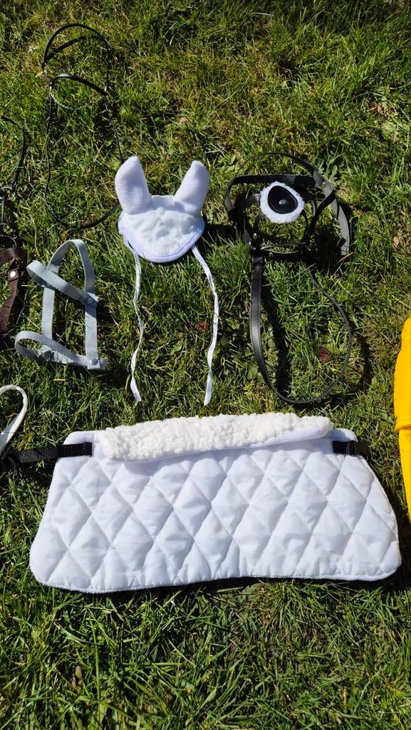 Set assesoires voor Hobby horse stokpaardje., Ophalen