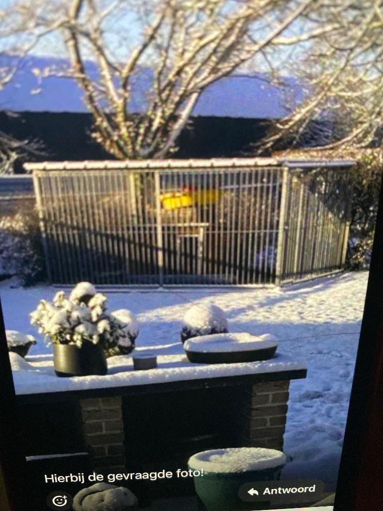 Hondenhok, Dieren en Toebehoren, Ophalen, 100 cm of meer, Hondenhok, 110 cm of meer