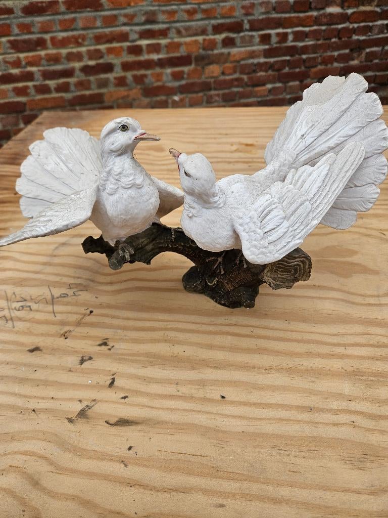 posture oiseaux, Ophalen