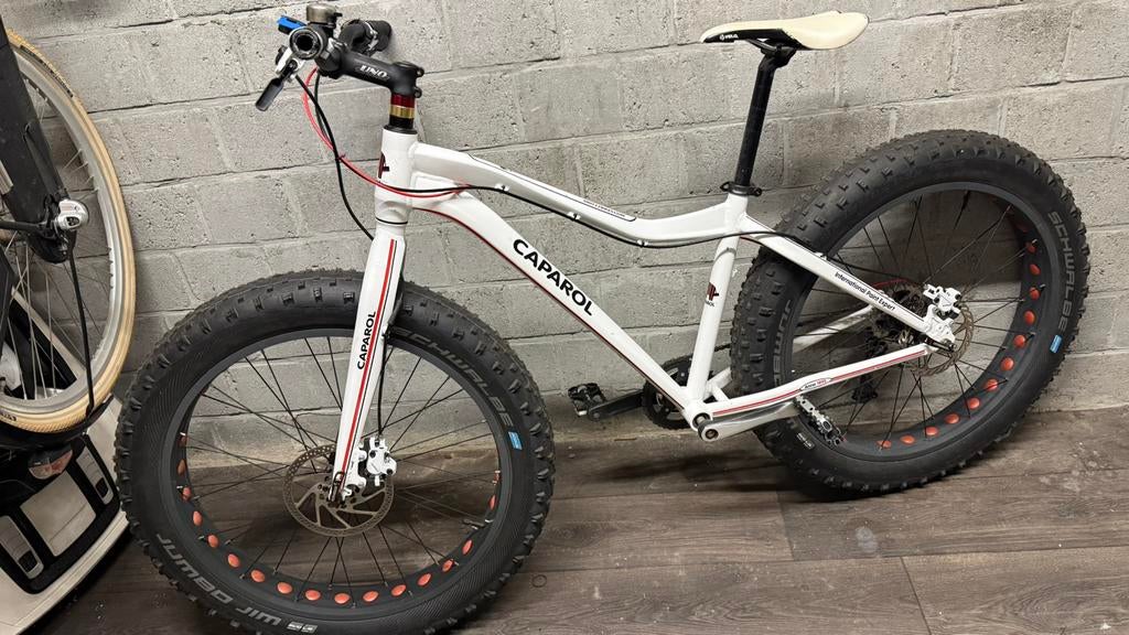 Fatbike (custom), Fietsen en Brommers, Fietsen | Mountainbikes en ATB, Geen vering, Ophalen, Gebruikt, Overige merken