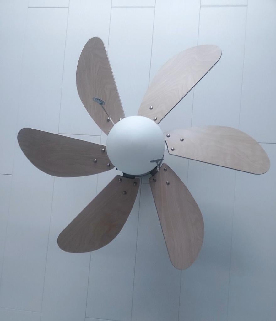 Ventilateur de plafond., Electroménager, Ventilateurs, Enlèvement, Ventilateur de plafond