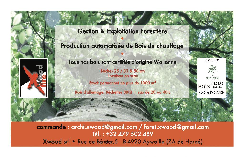 bois de chauffage, Enlèvement ou Envoi, Hêtre, Bûches