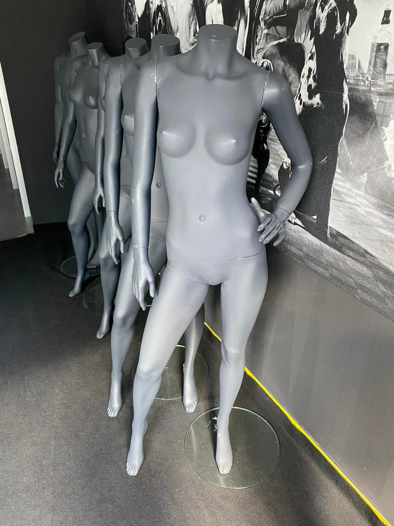 Paspoppen dames, Zakelijke goederen, Ophalen