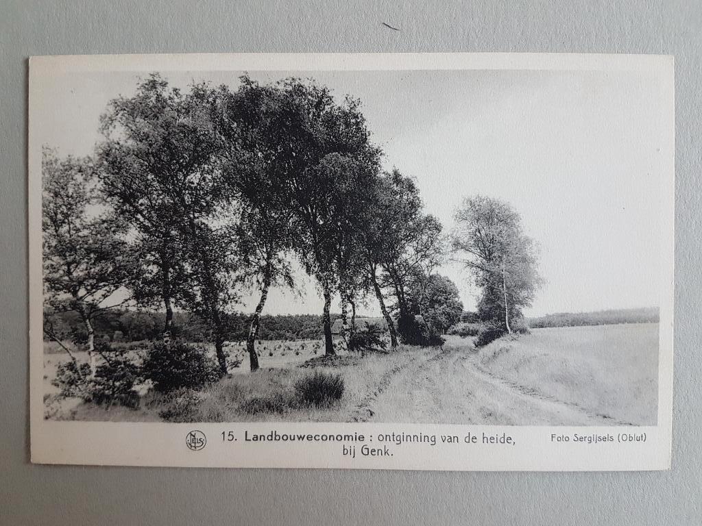 Postkaart Genk Ontginning heide Landbouweconomie, Ophalen of Verzenden, 1940 tot 1960, Ongelopen, Limburg